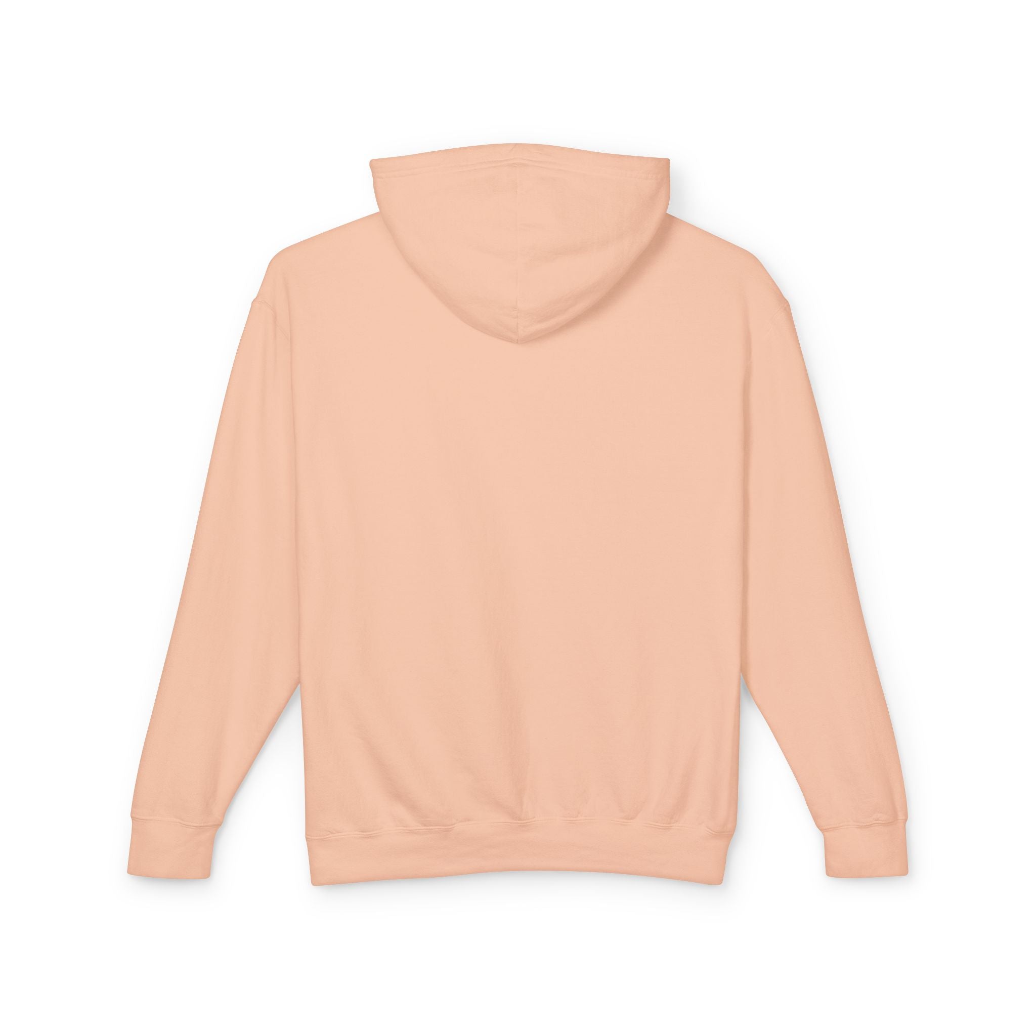 Graduation Teddy Bear Hoodie