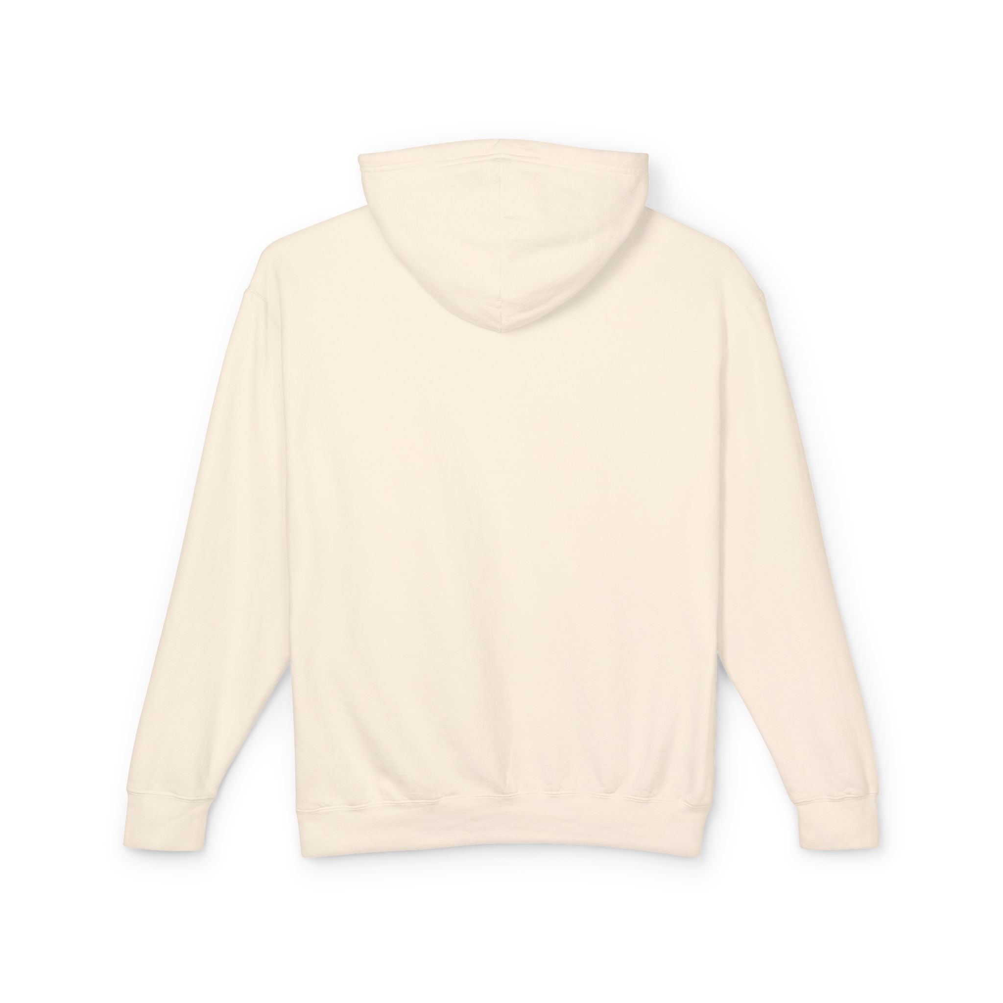 Graduation Teddy Bear Hoodie